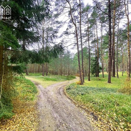 Apartamenty Nadrzeczna24 Tolkmicko Zewnętrze zdjęcie
